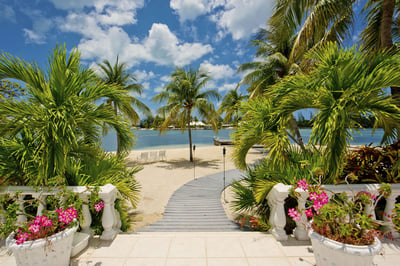 Luxury Villa Photo #6