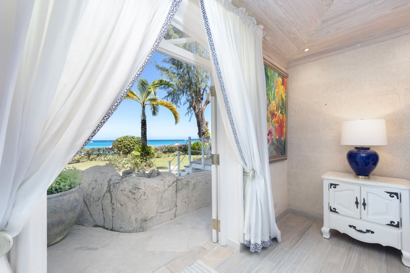 Old Trees 2 | Azzurro