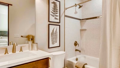 Lower level king suite bath