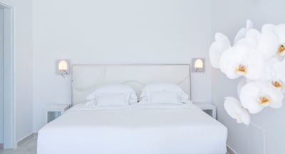 Luxury Villa Photo #11