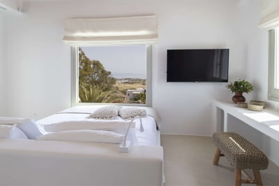 Luxury Villa Photo #45