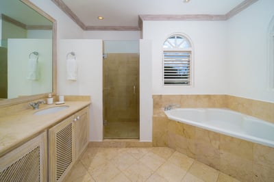 Luxury Villa Photo #15