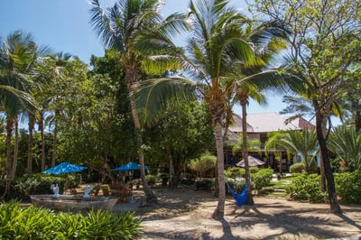 Luxury Villa Photo #6
