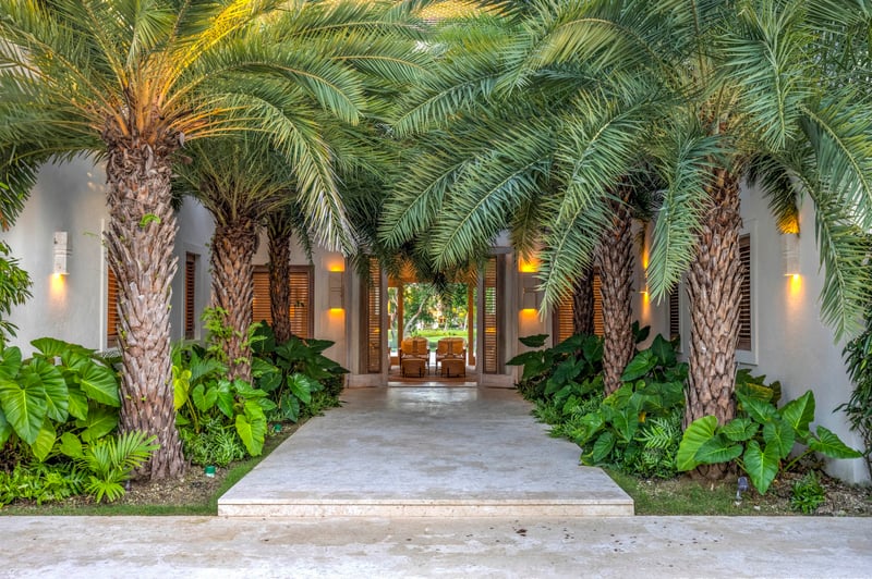 Arrecife EFG7 | Angelique