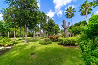 Luxury Villa Photo #11