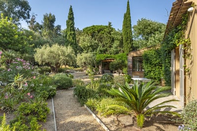 Luxury Villa Photo #6