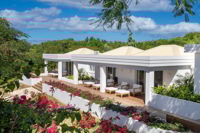 Luxury Villa Photo #3