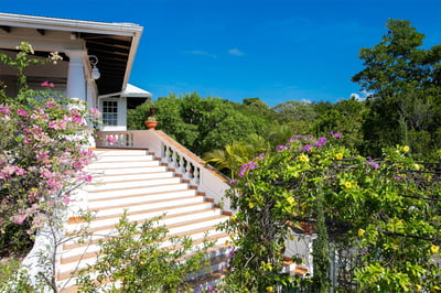 Luxury Villa Photo #9