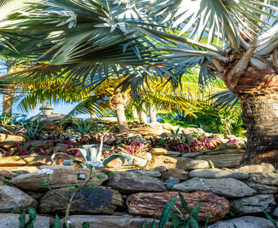 Luxury Villa Photo #15