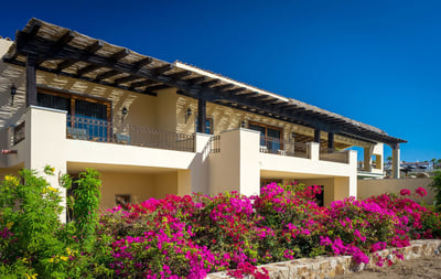 Be met with the brightly coloured, lush foliage that can be found throughout the grounds of Casa Tit