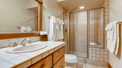 Lower hall bath
