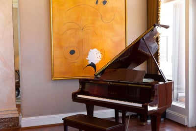 Luxury Villa Photo #7