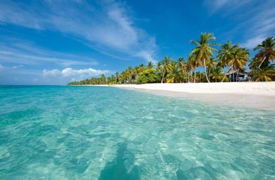 Saona