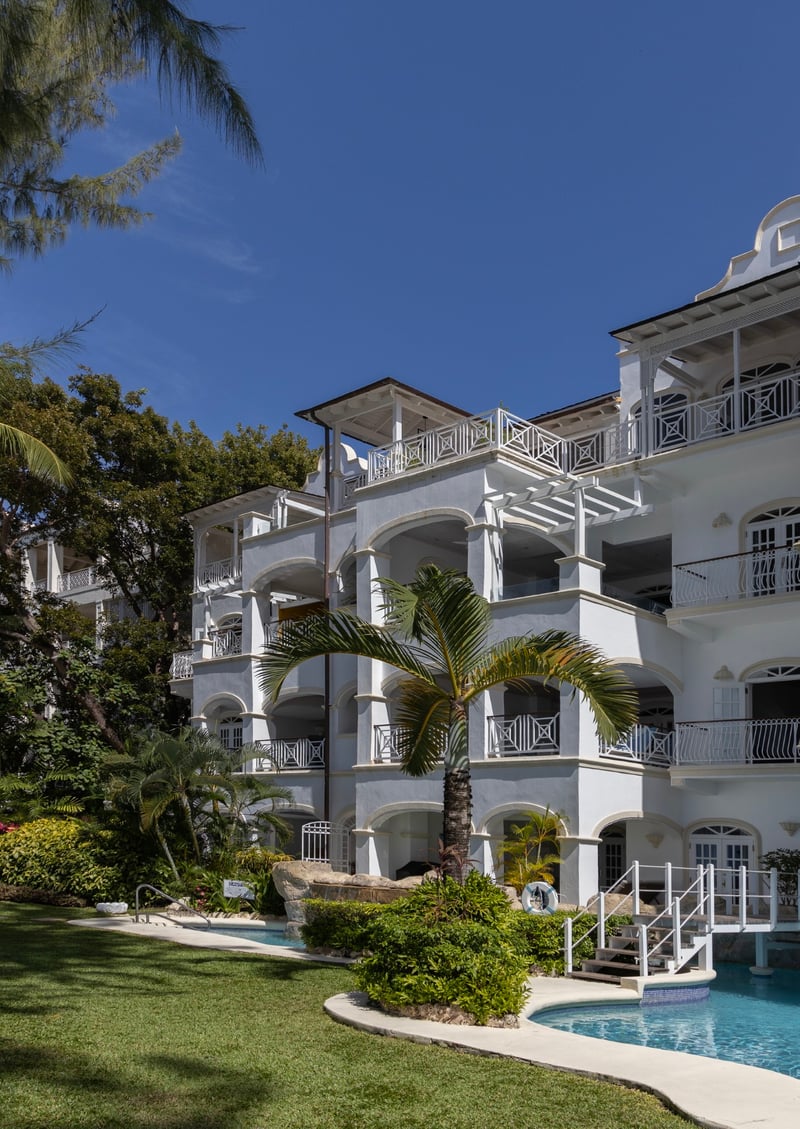 Old Trees 302 | La Mirage