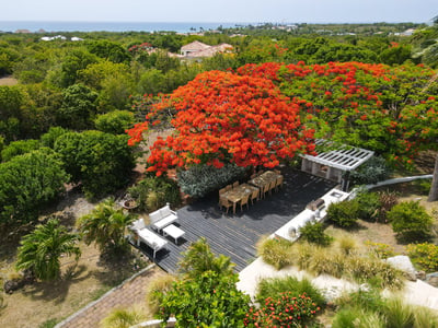 Luxury Villa Photo #6