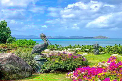 Luxury Villa Photo #5