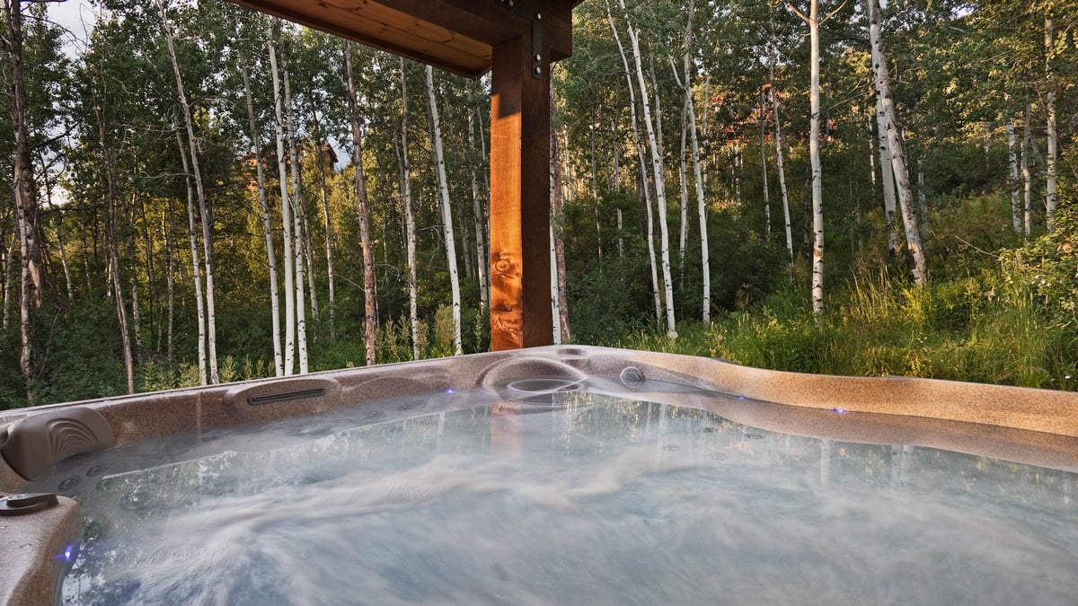 Hot tub in summer - Image 21