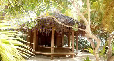 Luxury Villa Photo #4