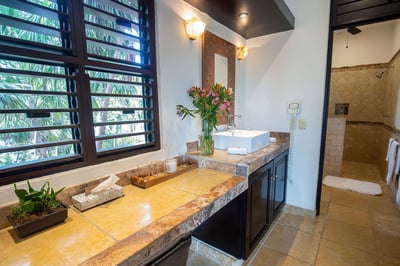 Luxury Villa Photo #39