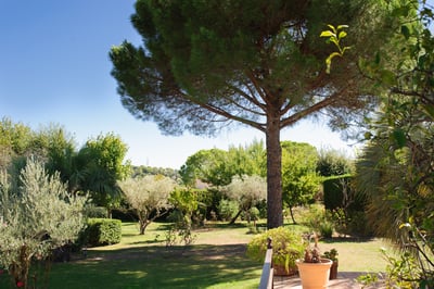Luxury Villa Photo #9