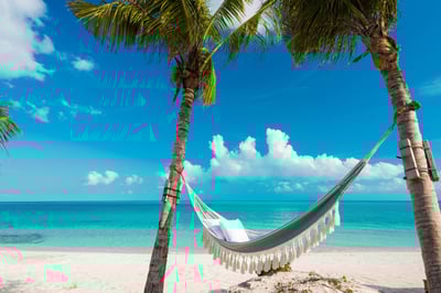 Luxury Villa Photo #24
