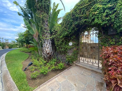 Luxury Villa Photo #49