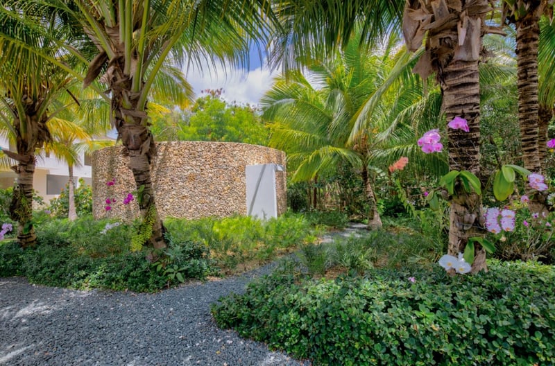 Arrecife 64 | Starfish