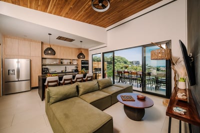 Penthouse Level | Living Room