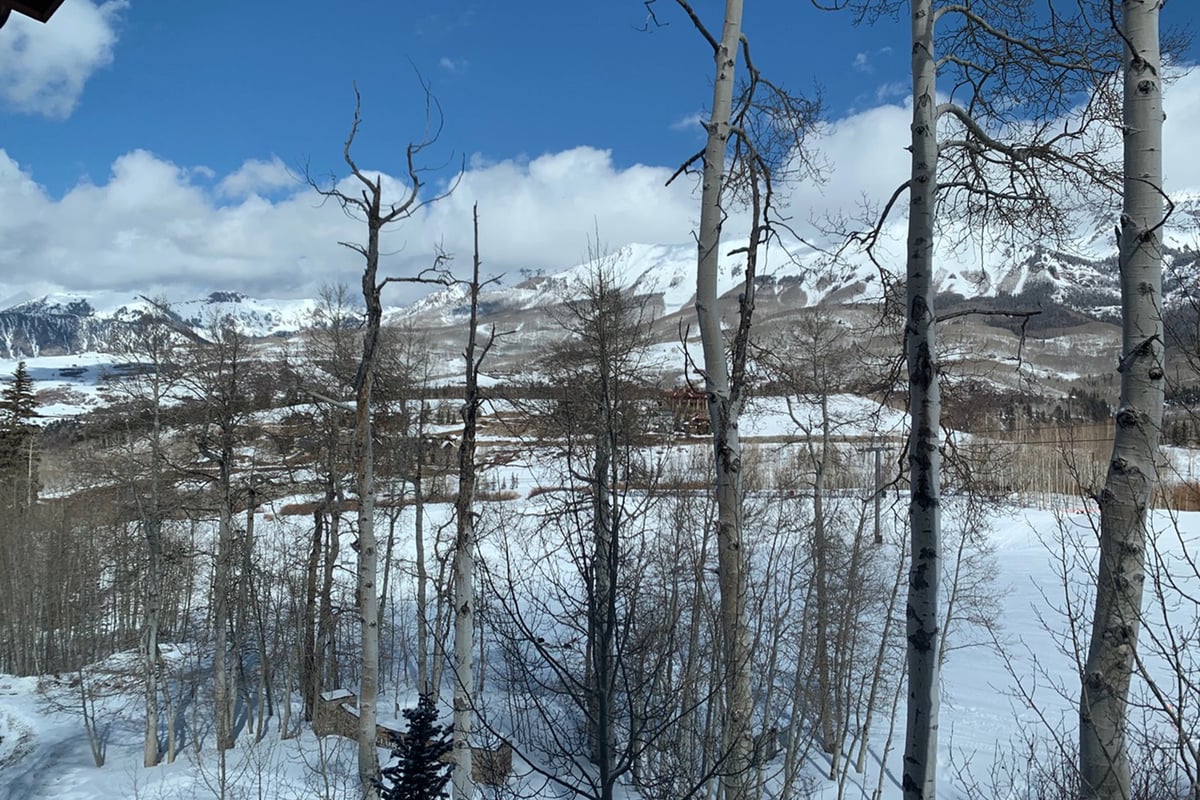 Palisade at Pine Meadows