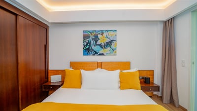 Luxury Villa Photo #48