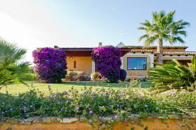 Luxury Villa Photo #6
