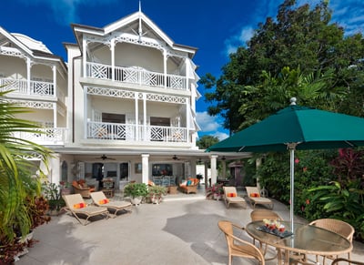 Mahogany Bay,Seashells
