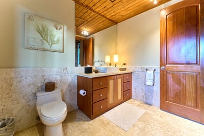 Luxury Villa Photo #82
