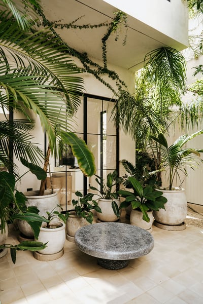Luxury Villa Photo #15