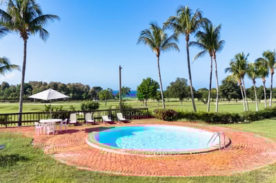 Luxury Villa Photo #3