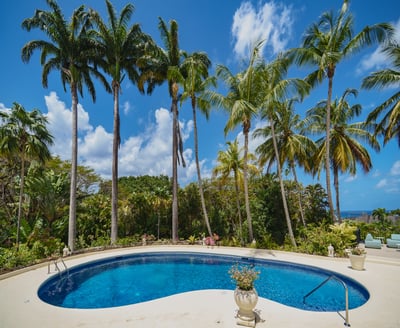 Luxury Villa Photo #5