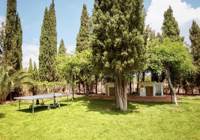 Luxury Villa Photo #12