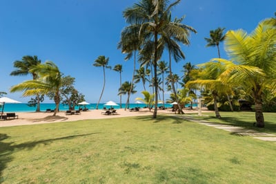 Beach View from the Garden