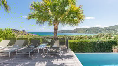 Pool & Terrace