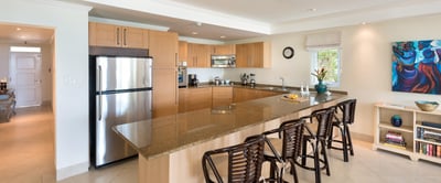 Luxury Villa Photo #2