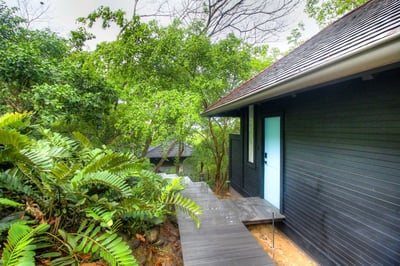 Tropical jungle surroundings.