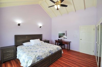 Luxury Villa Photo #21