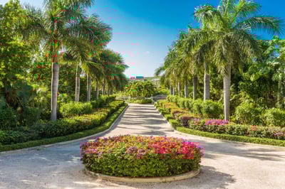 Luxury Villa Photo #4