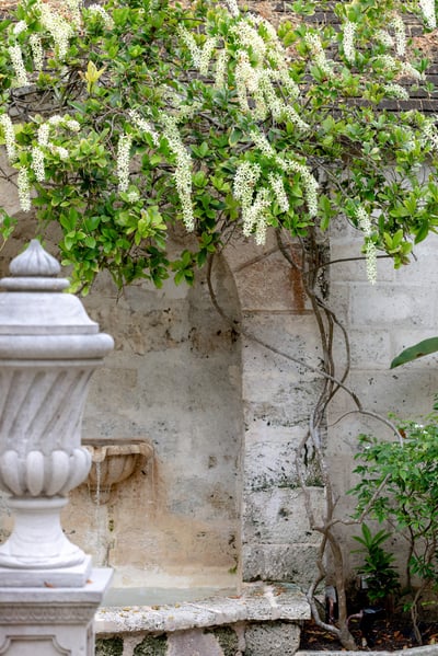 Luxury Villa Photo #5