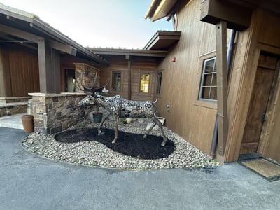 Luxury Villa Photo #58