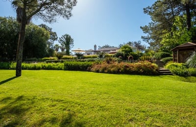 Luxury Villa Photo #10