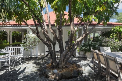 Luxury Villa Photo #11