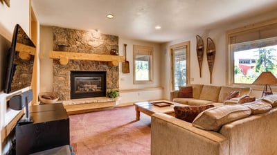Family room with fireplace_lower level