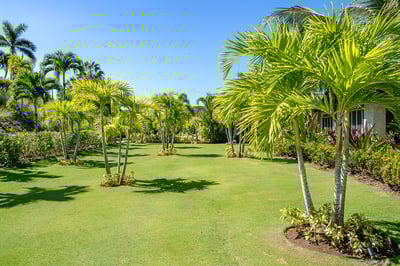 Luxury Villa Photo #37