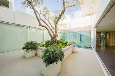 Luxury Villa Photo #92